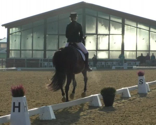 Reitturnier Swisttal-Miel 2019