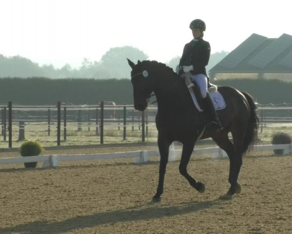 Reitturnier Swisttal-Miel 2019