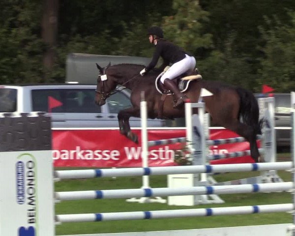Reitturnier Kellinghusen 2019