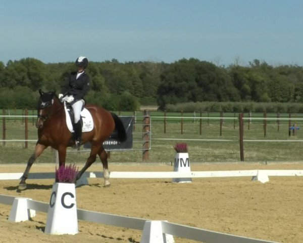 Reitturnier Swisttal-Miel 2019