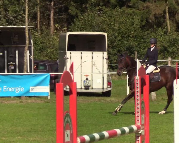 Reitturnier Kellinghusen 2019