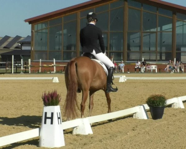 Reitturnier Swisttal-Miel 2019
