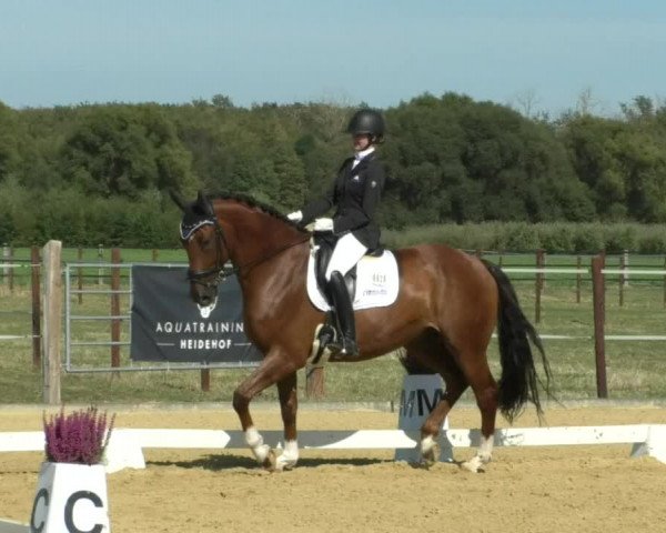 Reitturnier Swisttal-Miel 2019