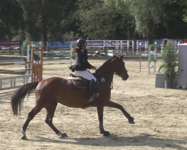 Reitturnier Walldorf/Winterheck 2019