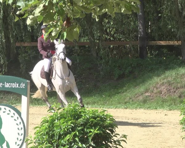 Reitturnier Walldorf/Winterheck 2019