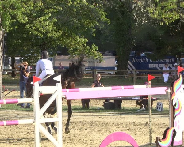 Reitturnier Walldorf/Winterheck 2019