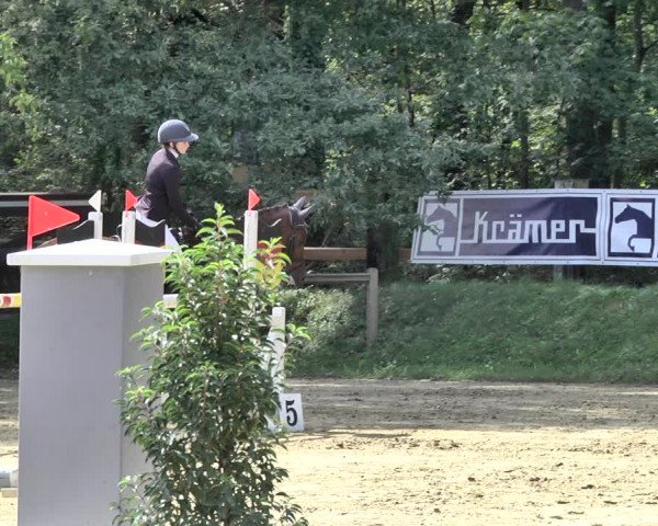 Reitturnier Walldorf/Winterheck 2019