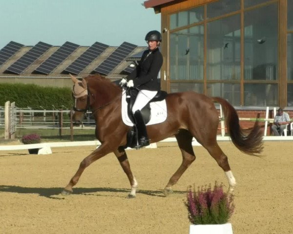 Reitturnier Swisttal-Miel 2019