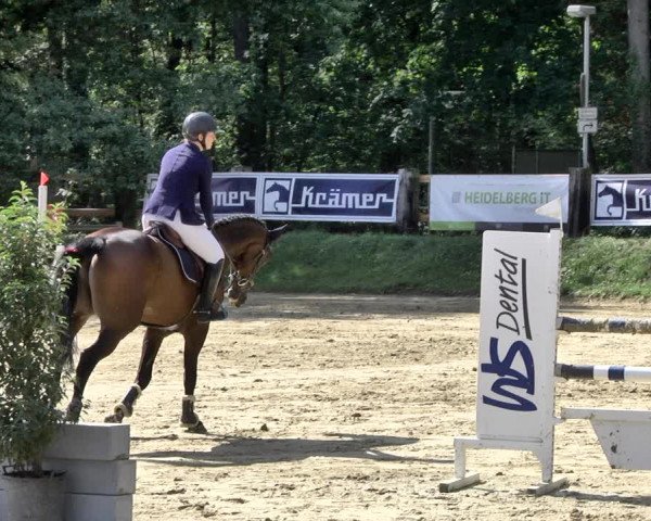 Reitturnier Walldorf/Winterheck 2019