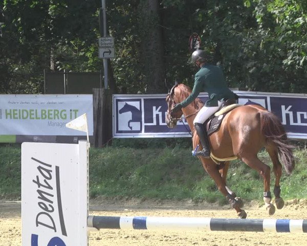 Reitturnier Walldorf/Winterheck 2019