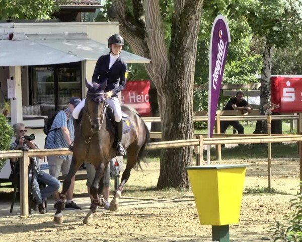Reitturnier Walldorf/Winterheck 2019