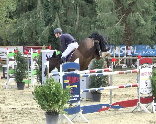 Reitturnier Walldorf/Winterheck 2019