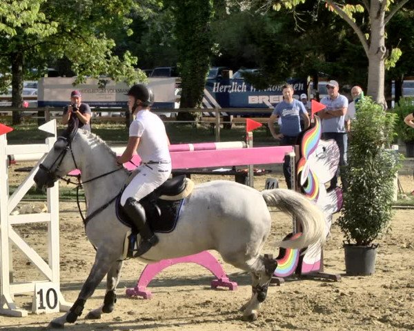 Reitturnier Walldorf/Winterheck 2019
