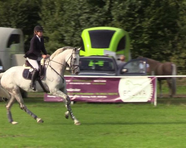 Reitturnier Kellinghusen 2019