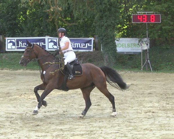 Reitturnier Walldorf/Winterheck 2019