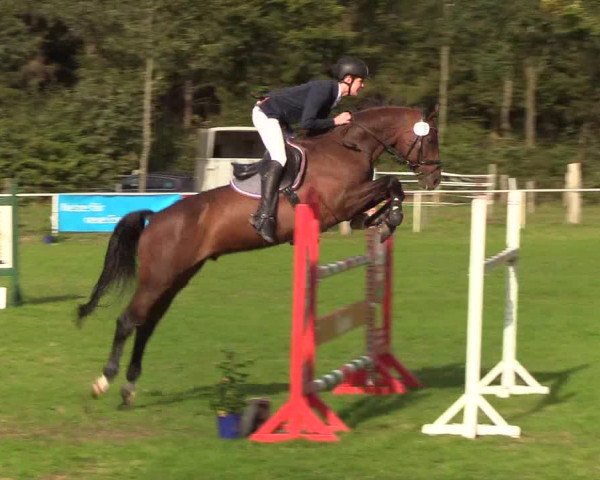Reitturnier Kellinghusen 2019
