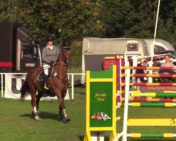 Reitturnier Kellinghusen 2019