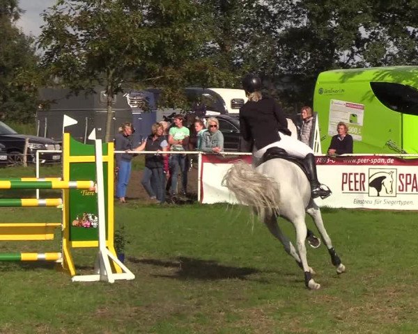 Reitturnier Kellinghusen 2019