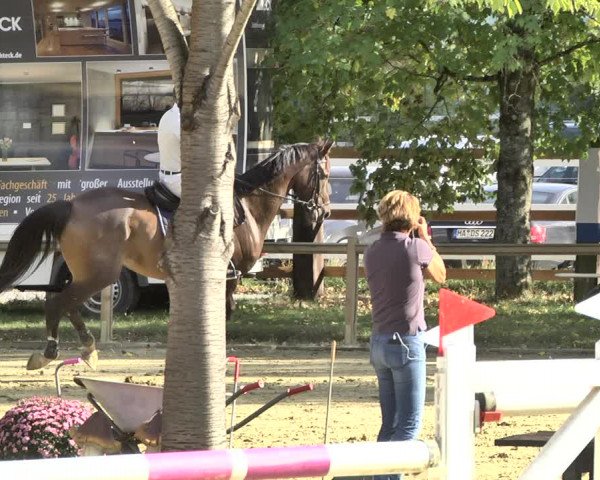 Reitturnier Walldorf/Winterheck 2019