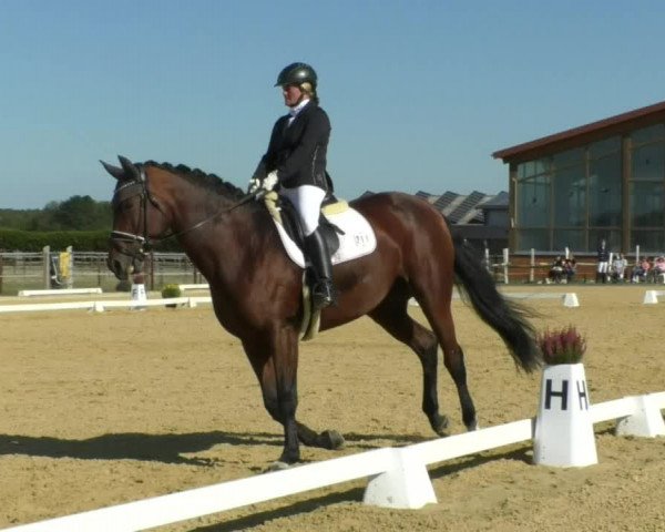 Reitturnier Swisttal-Miel 2019