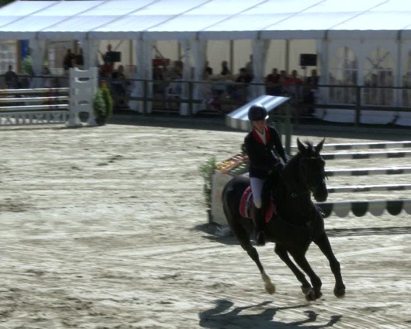 Reitturnier Albersloh 2019