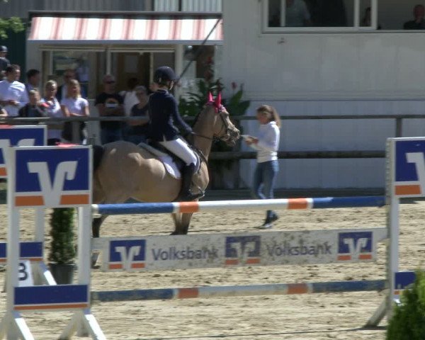 Reitturnier Albersloh 2019