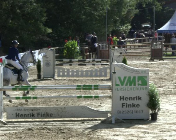 Reitturnier Albersloh 2019
