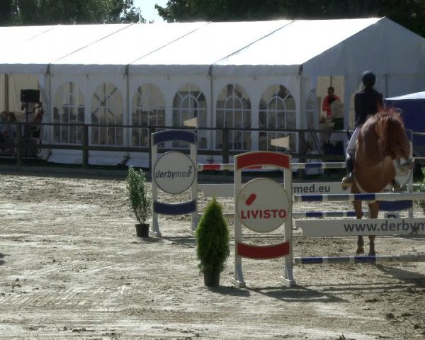 Reitturnier Albersloh 2019