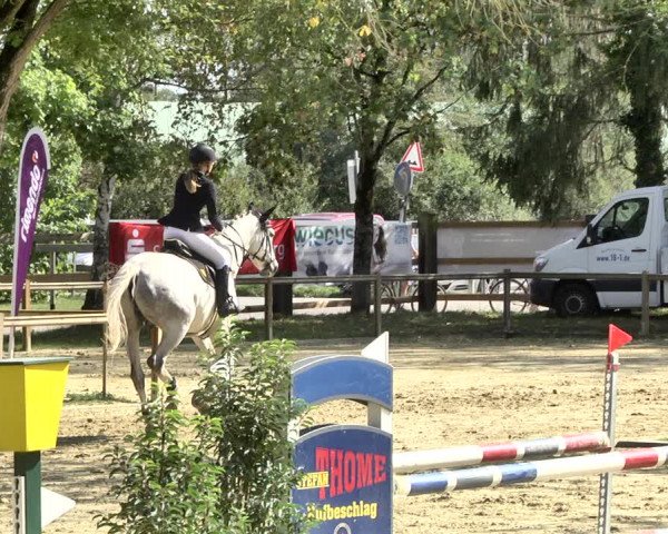 Reitturnier Walldorf/Winterheck 2019