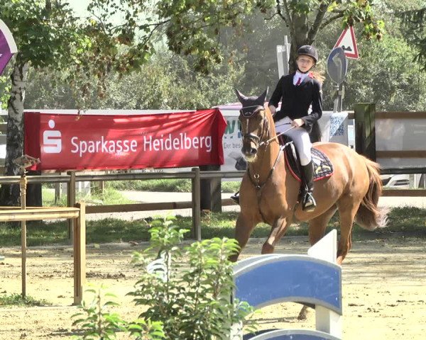 Reitturnier Walldorf/Winterheck 2019