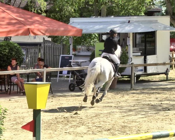 Reitturnier Walldorf/Winterheck 2019