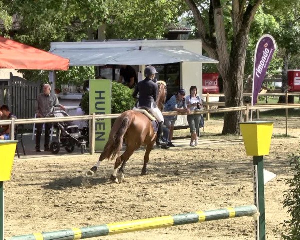 Reitturnier Walldorf/Winterheck 2019