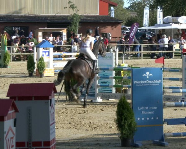 Reitturnier Albersloh 2019