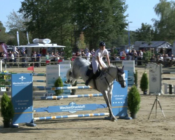 Reitturnier Albersloh 2019