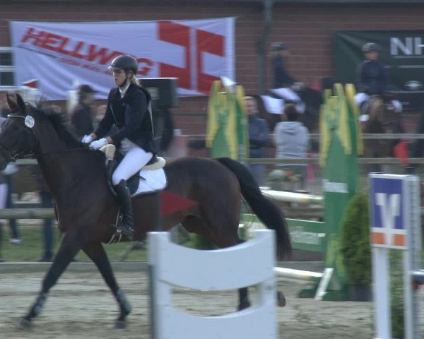 Reitturnier Albersloh 2019