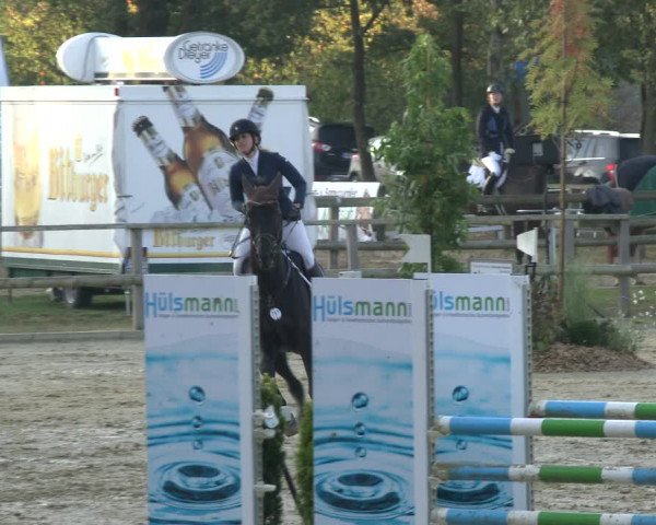 Reitturnier Albersloh 2019