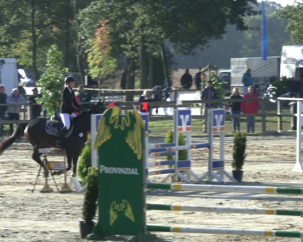 Reitturnier Albersloh 2019