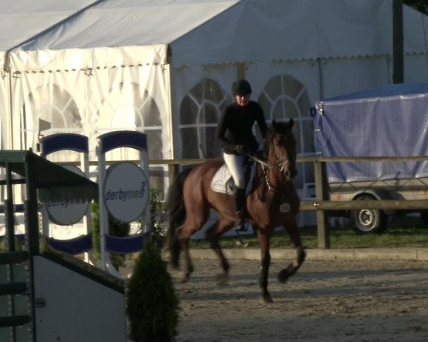 Reitturnier Albersloh 2019