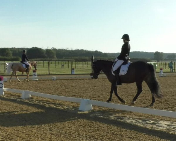 Reitturnier Swisttal-Miel 2019