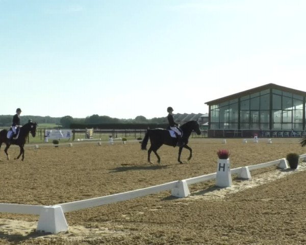 Reitturnier Swisttal-Miel 2019