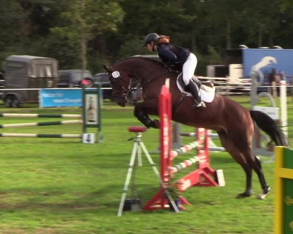 Reitturnier Kellinghusen 2019