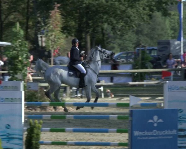 Reitturnier Albersloh 2019