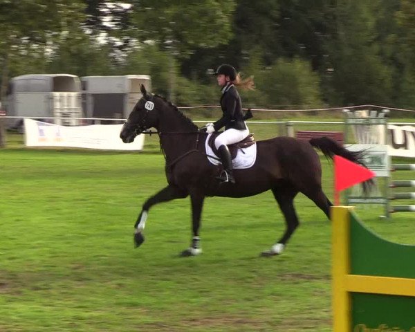 Reitturnier Kellinghusen 2019