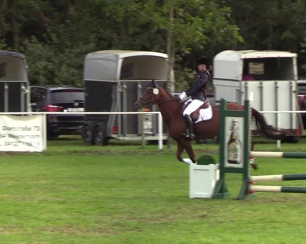 Reitturnier Kellinghusen 2019