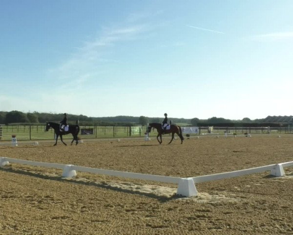 Reitturnier Swisttal-Miel 2019