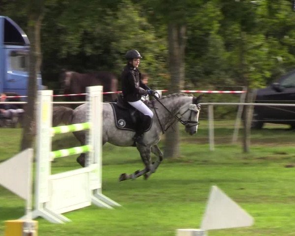 Reitturnier Kellinghusen 2019