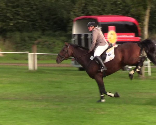Reitturnier Kellinghusen 2019