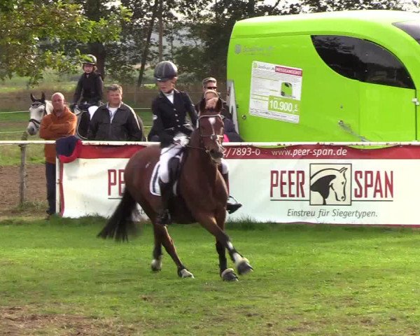Reitturnier Kellinghusen 2019