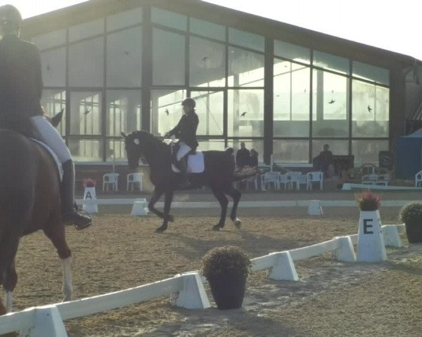 Reitturnier Swisttal-Miel 2019