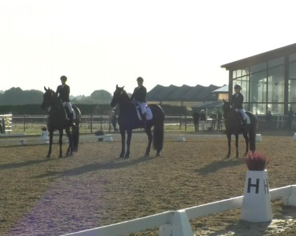 Reitturnier Swisttal-Miel 2019